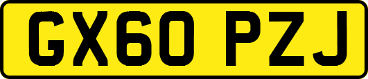 GX60PZJ