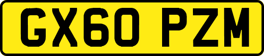 GX60PZM
