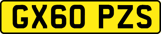 GX60PZS