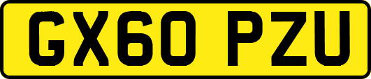 GX60PZU