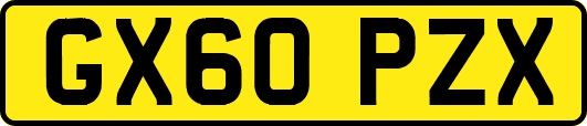 GX60PZX
