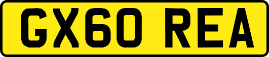 GX60REA