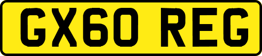GX60REG