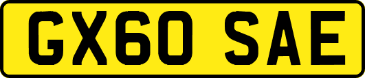 GX60SAE