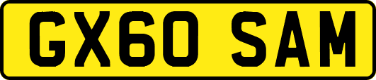 GX60SAM