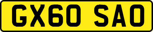 GX60SAO