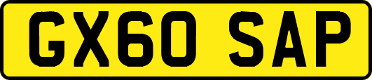 GX60SAP