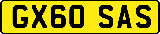 GX60SAS