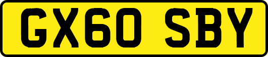 GX60SBY
