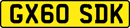 GX60SDK