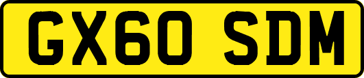 GX60SDM