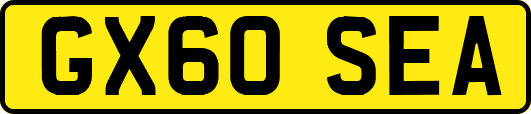 GX60SEA