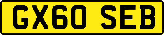 GX60SEB