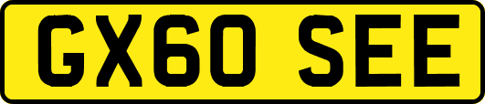 GX60SEE