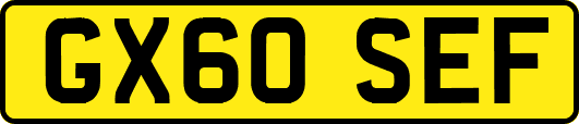 GX60SEF