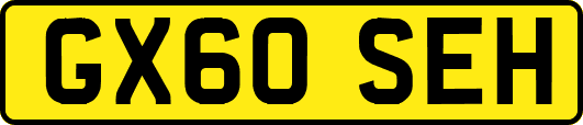 GX60SEH
