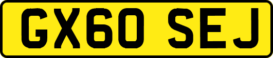 GX60SEJ