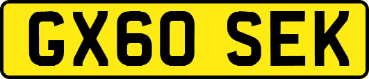 GX60SEK
