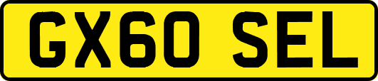 GX60SEL