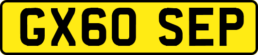 GX60SEP