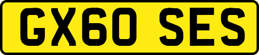 GX60SES