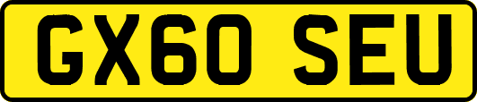 GX60SEU