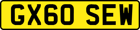 GX60SEW