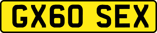 GX60SEX