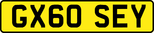 GX60SEY