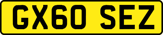 GX60SEZ