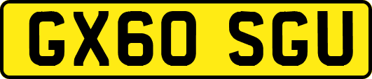 GX60SGU