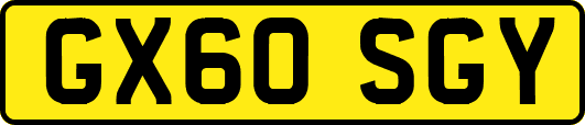 GX60SGY