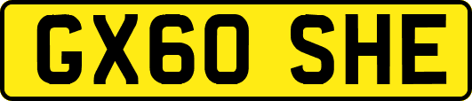 GX60SHE