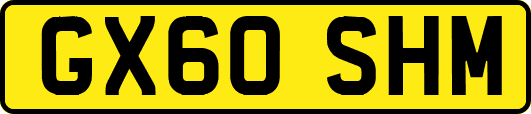 GX60SHM