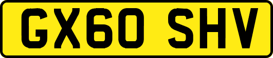 GX60SHV
