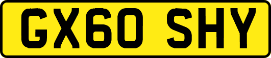 GX60SHY
