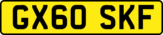 GX60SKF