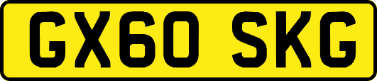 GX60SKG