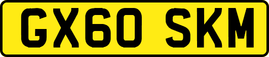 GX60SKM