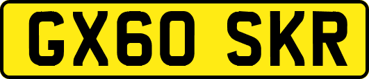 GX60SKR