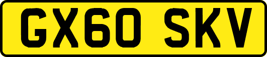 GX60SKV