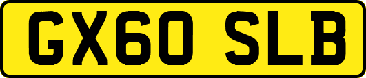 GX60SLB