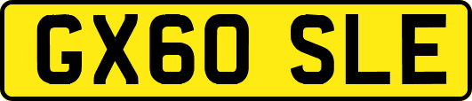 GX60SLE