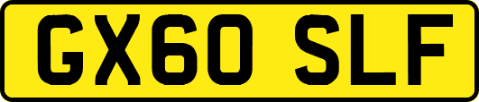 GX60SLF