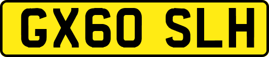 GX60SLH