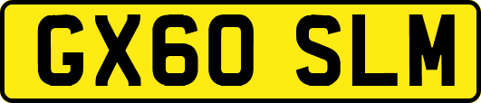 GX60SLM