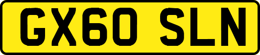 GX60SLN