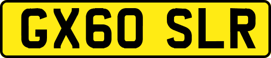 GX60SLR