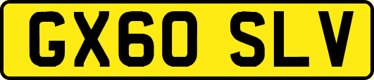 GX60SLV