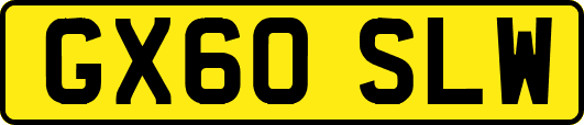 GX60SLW